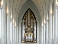 97_08141
