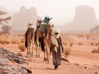 TUAREG