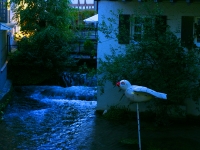 IMG_6342 Ulm